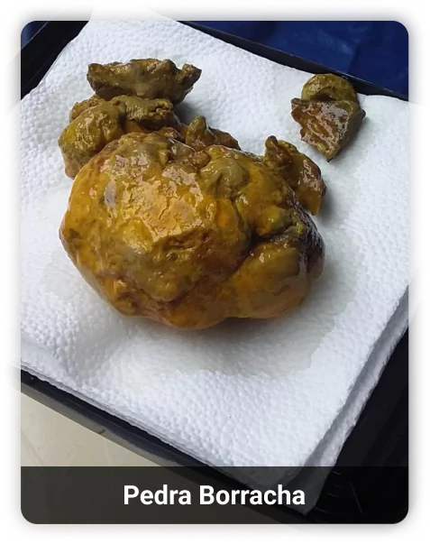 2-calcaria-1-6633dc80b7c88