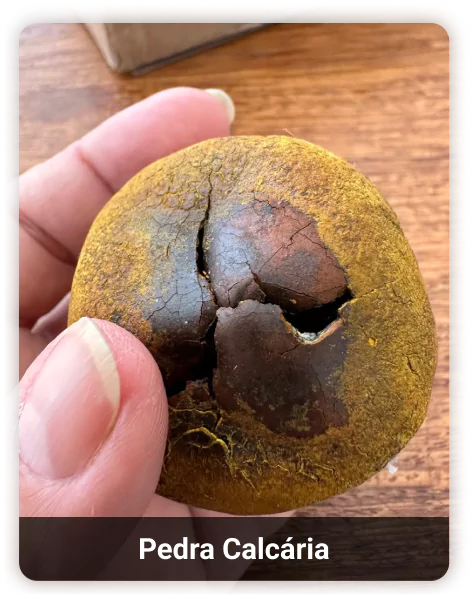 2-calcaria-6633dc8195310