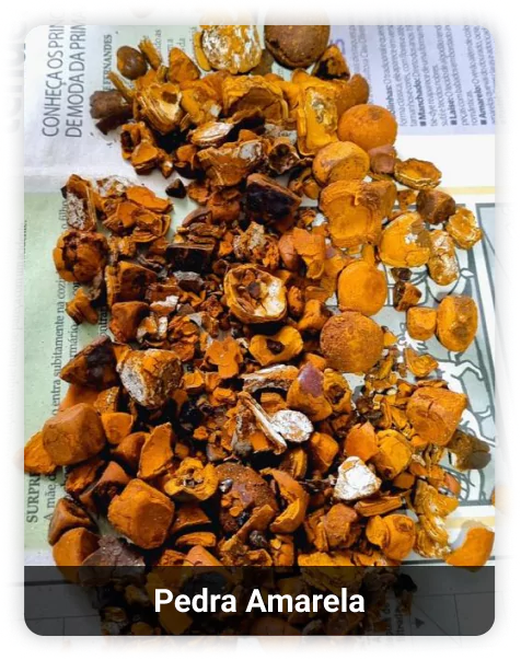 2-calcaria-66340051338a7